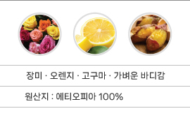 ��Ƽ���Ǿ� �̰�ü��